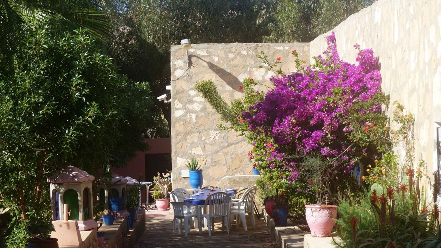 Le jardin de l'Auberge Tasra à Imsouane : bougainvillier en fleur, poteries bleues, mur en pierre